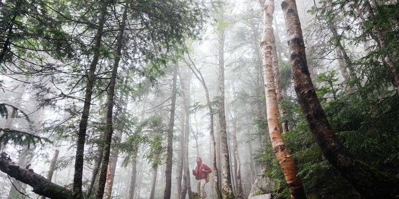 下一代防火墙(NGFW)如何通过深度包检测与威胁情报集成重塑企业安全边界——网腾科技系统集成实践