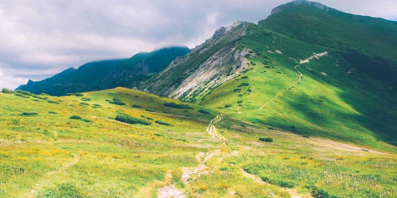 交换机与路由器自动化革命：基于意图的网络（IBN）实战部署与合规性校验指南