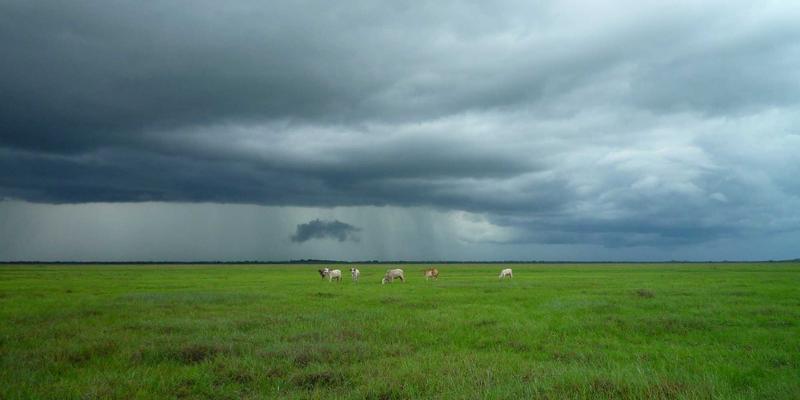 企业网络设备77：构建下一代企业网络防火墙与核心设备选型指南