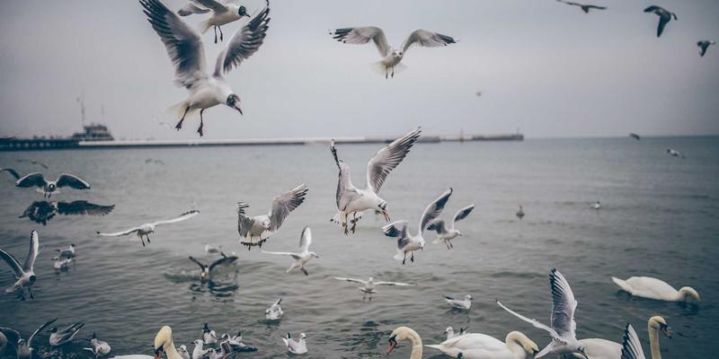 企业网络高可用性实战指南：防火墙与系统集成的冗余设计