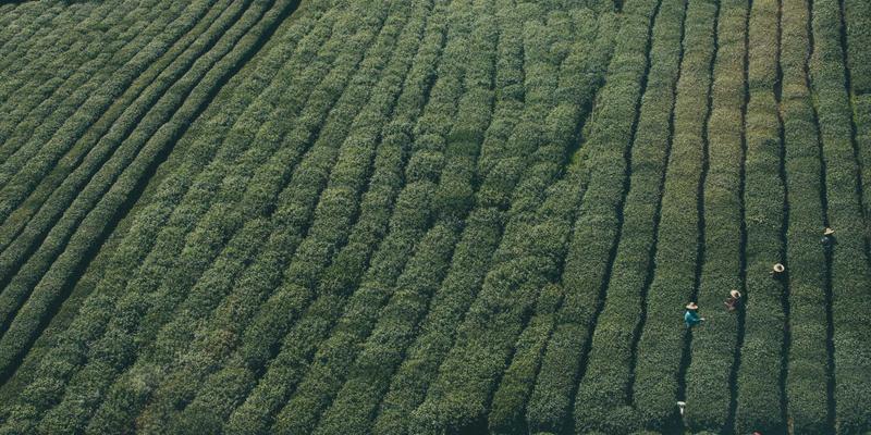 基于意图的网络(IBN)原理解析：如何重塑现代数据中心与企业网络架构