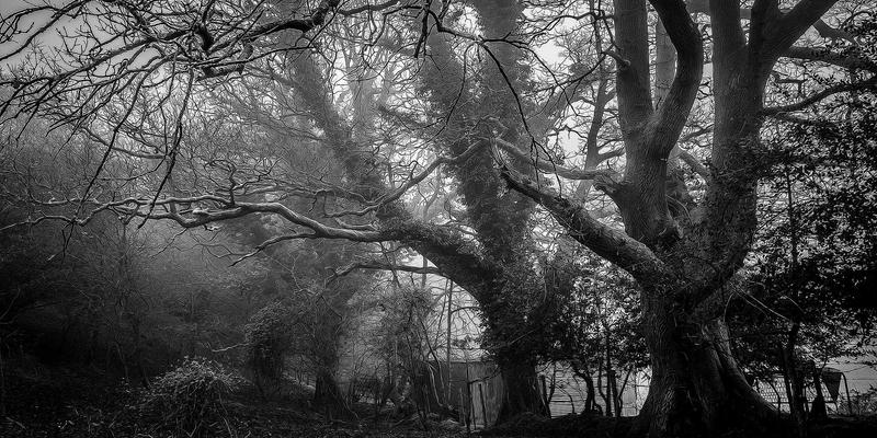 智能运维新实践：基于SNMP与Telemetry的网络设备硬件故障预警