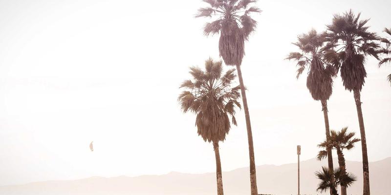 筑牢企业网络安全防线：WPA3协议升级与Radius认证配置实战指南