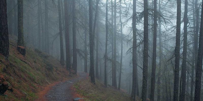 网络设备33:交换机在系统集成中的核心作用与选型指南