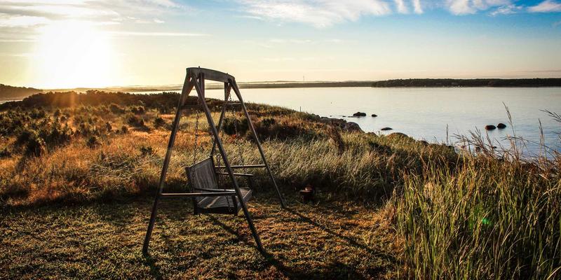 网络设备深度解析：从路由器、防火墙到系统集成的核心架构