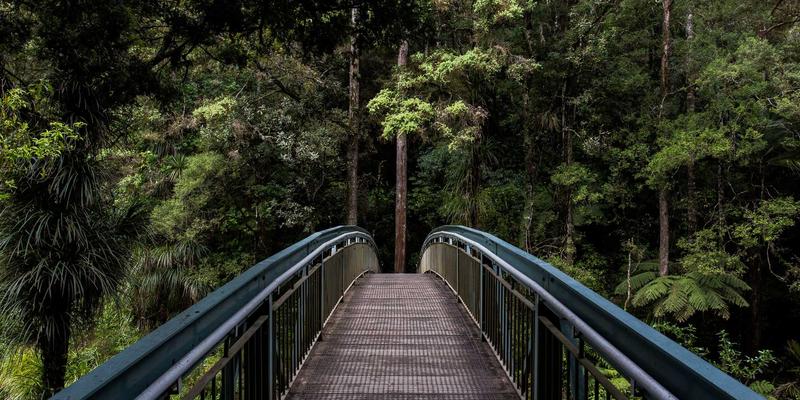 网腾科技实战解析：企业网络防火墙冗余与高可用性设计，从双机热备到集群技术