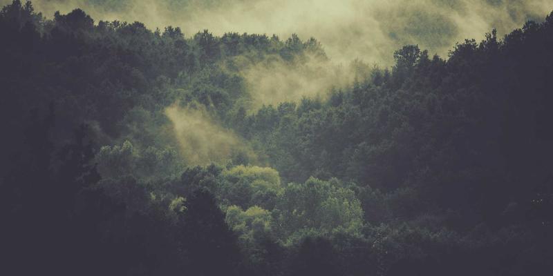 路由器与交换机日志管理革命：网腾科技基于Syslog与AIOps的智能故障预测实践