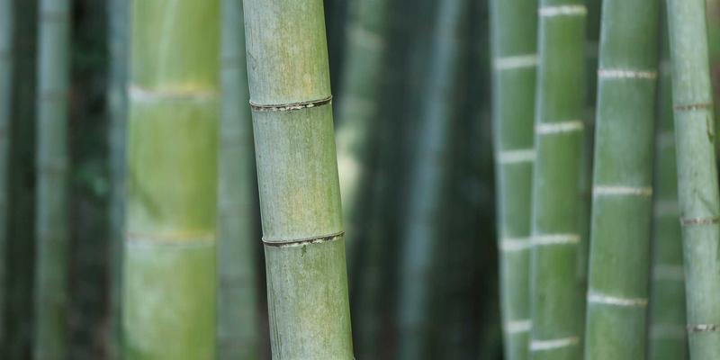 远程办公安全指南：如何为分支机构选择与配置可靠的VPN网关设备